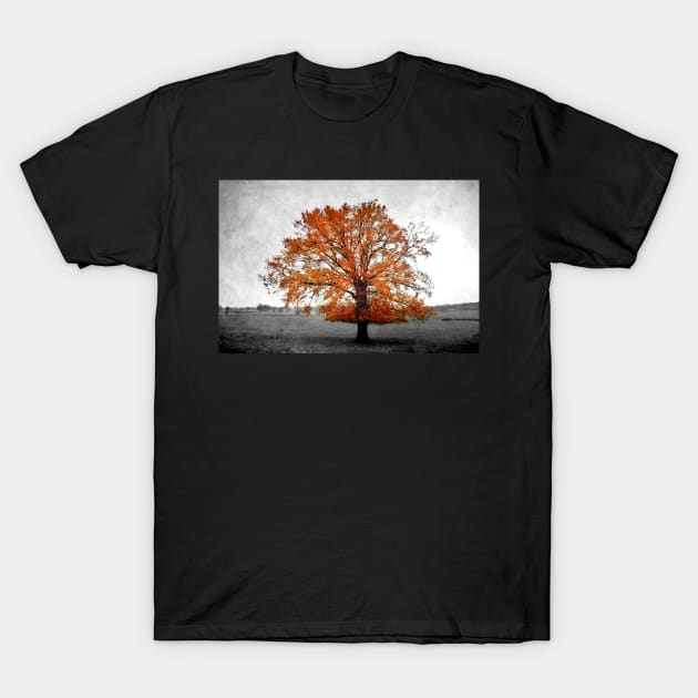 A Tree in Autumn T-Shirt by rosedew